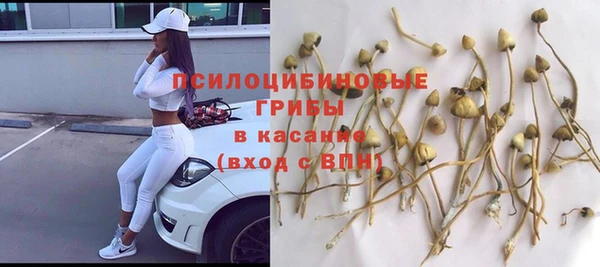 ешки Горнозаводск
