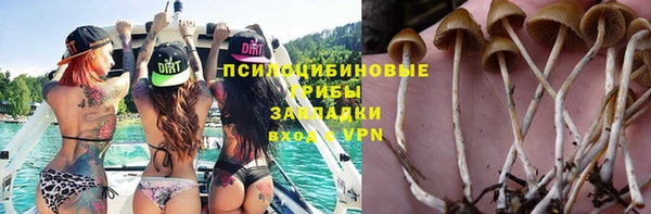стаф Вязники