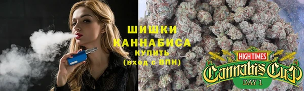 мдпв Горно-Алтайск