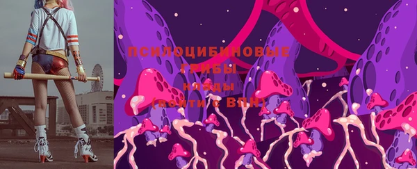 стаф Вязники