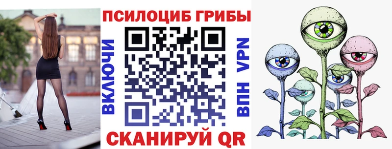 blacksprut вход  Мещовск  Галлюциногенные грибы Cubensis 